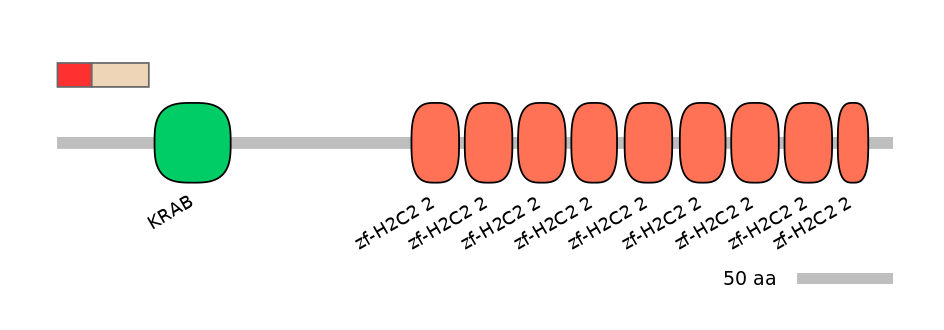 MmuEX0053027-INC