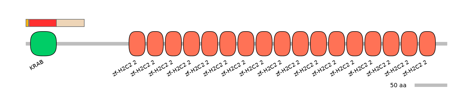 MmuEX0053055-INC