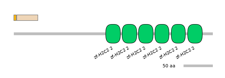 MmuEX0053075-EXC