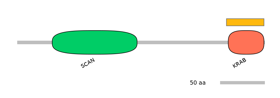 MmuEX0053085-EXC