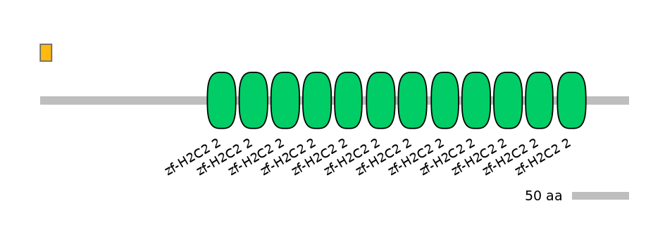 MmuEX0053217-EXC