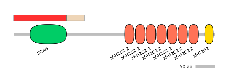 MmuEX0053289-INC