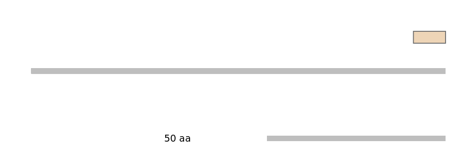 MmuEX0053384-EXC