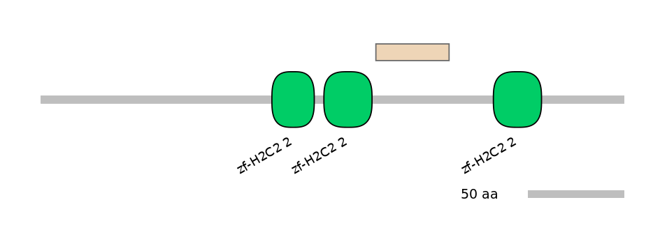 MmuEX0053385-EXC