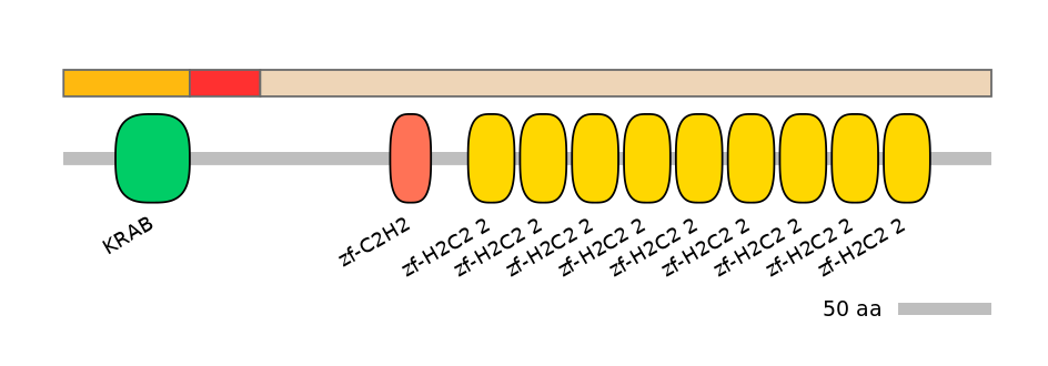 MmuEX0053553-INC