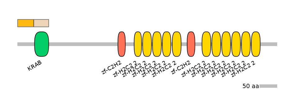 MmuEX0053583-EXC