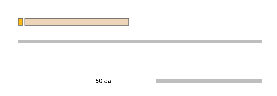 MmuEX0053595-EXC