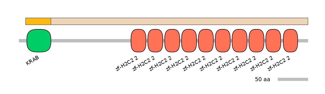 MmuEX0053610-EXC