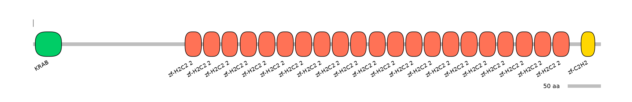 MmuEX0053616-EXC