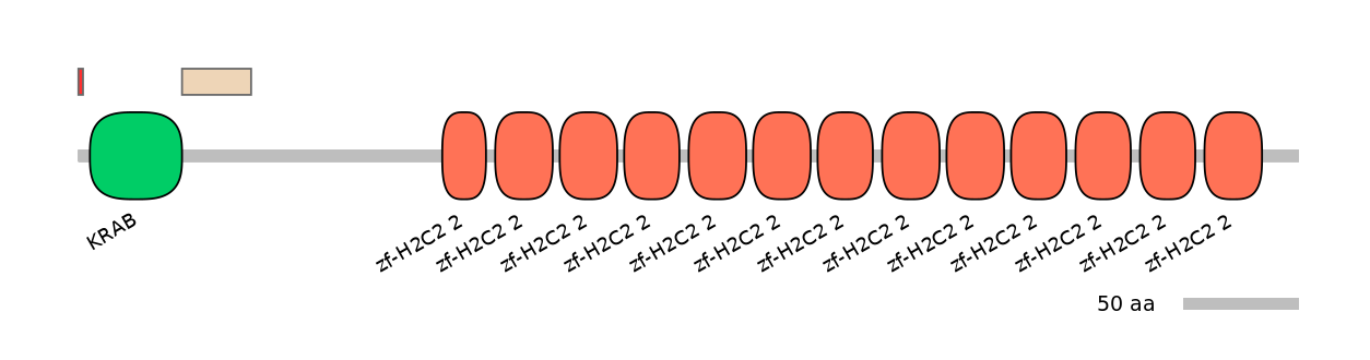 MmuEX0053635-INC
