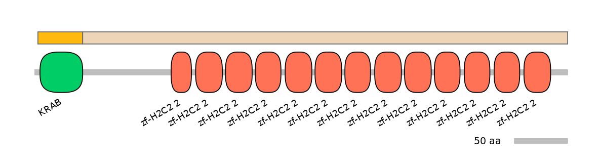 MmuEX0053637-EXC