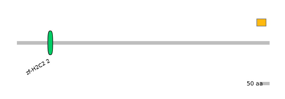 MmuEX0053652-EXC