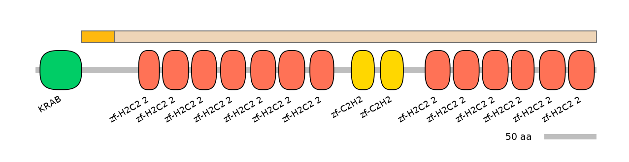MmuEX0053675-EXC