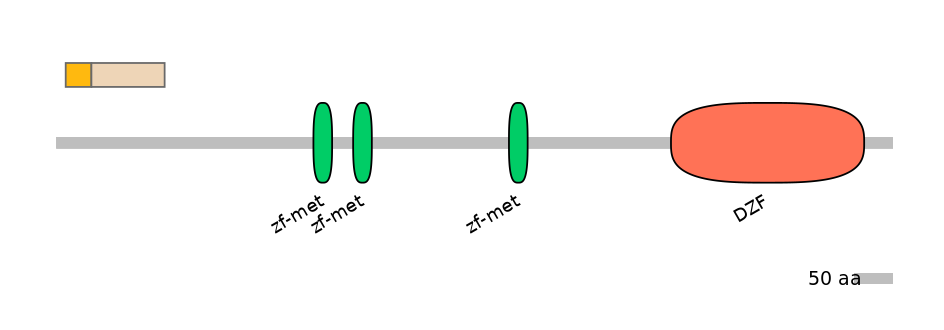 MmuEX0053758-EXC