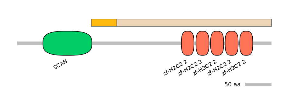 MmuEX0053855-EXC