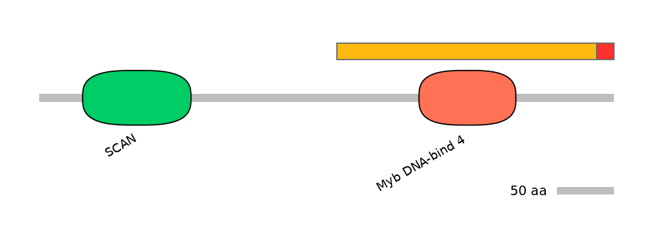 MmuEX0053872-INC