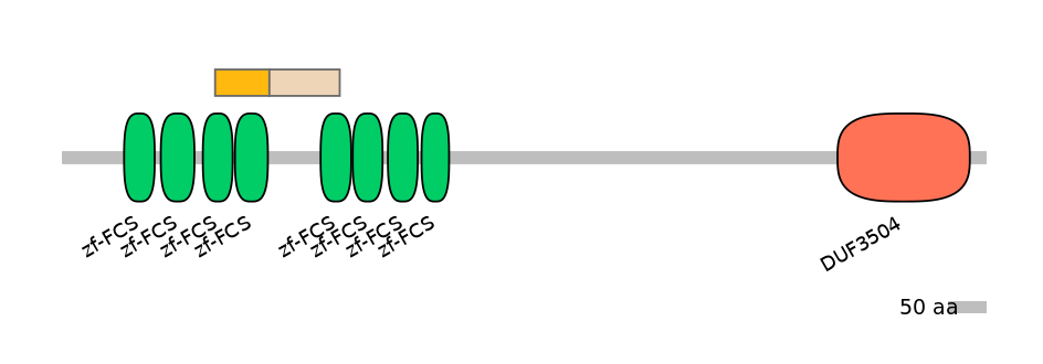 MmuEX0053941-EXC