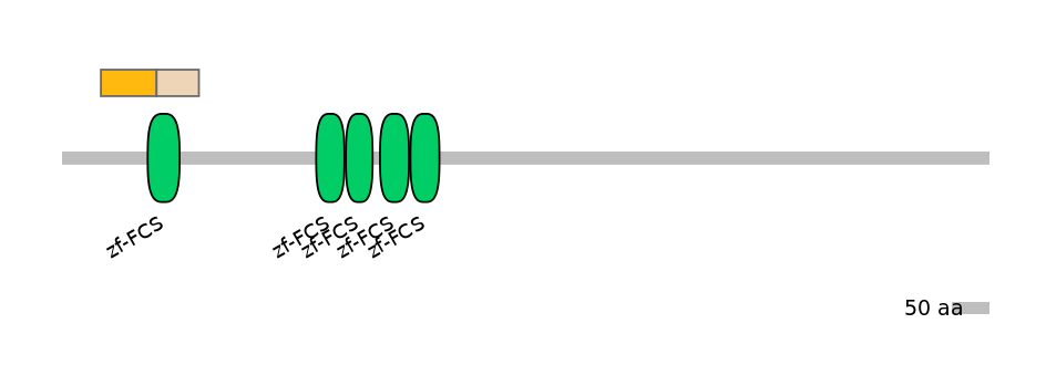 MmuEX0053953-EXC