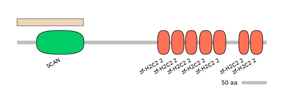 MmuEX0054051-INC