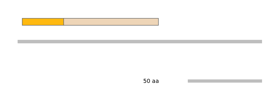 MmuEX0054058-EXC