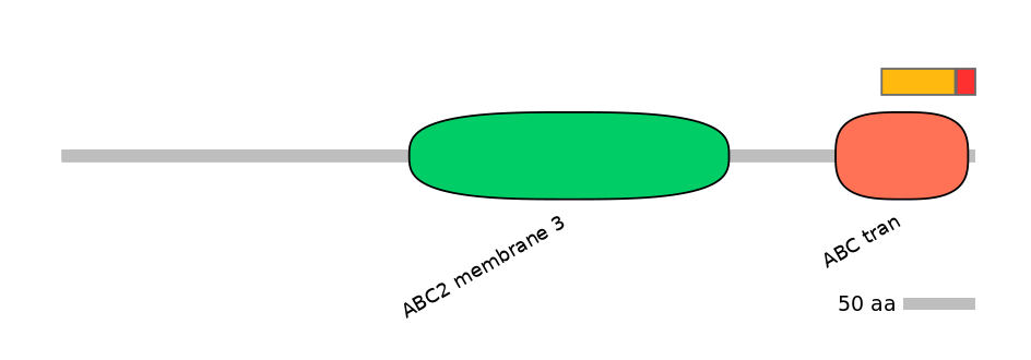 MmuEX1002869-INC