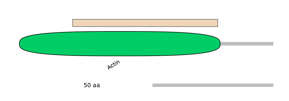 MmuEX1003152-EXC