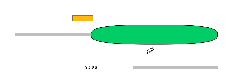 MmuEX1003806-EXC