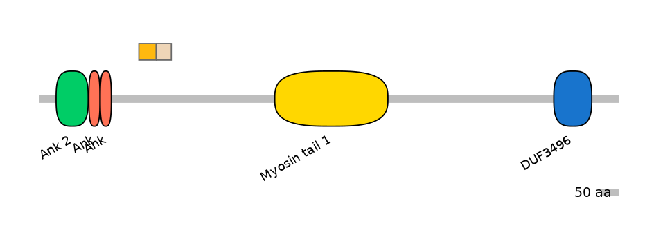 MmuEX1003865-EXC
