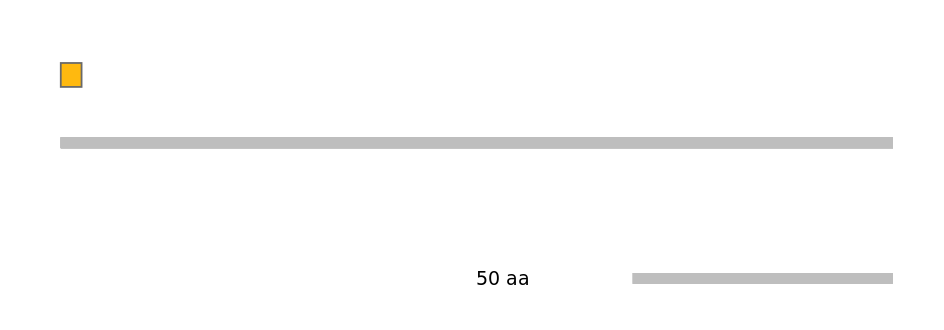 MmuEX1004734-EXC