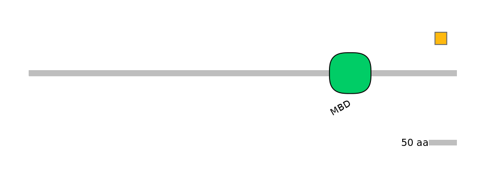 MmuEX1005068-EXC
