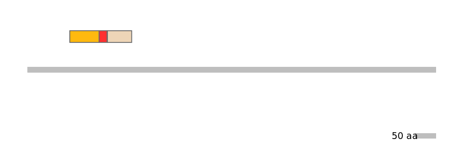 MmuEX1005909-INC