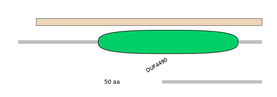 MmuEX1006138-EXC