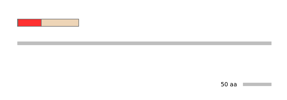 MmuEX1006546-INC