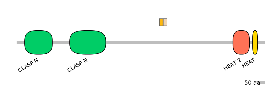 MmuEX1006888-INC