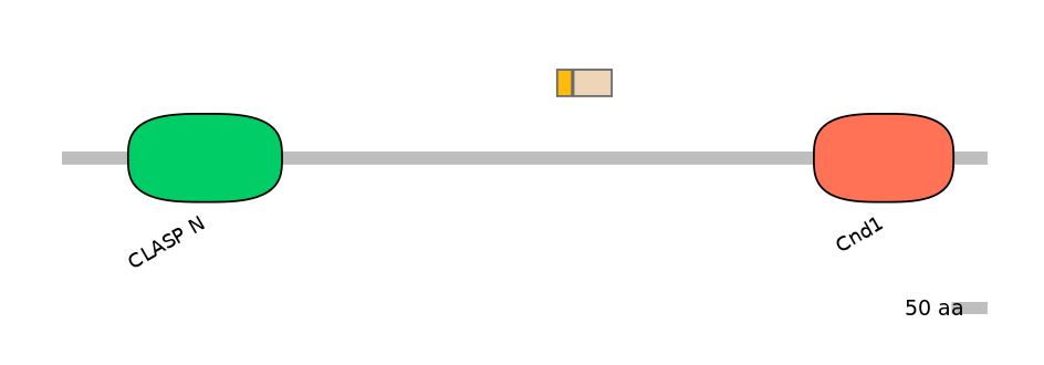 MmuEX1006894-INC