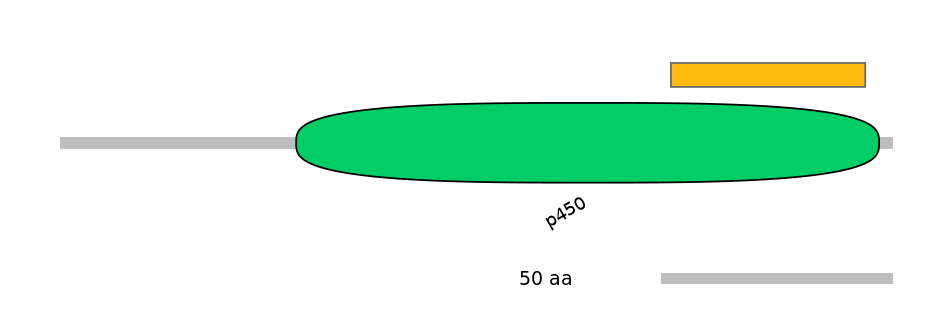 MmuEX1007968-EXC