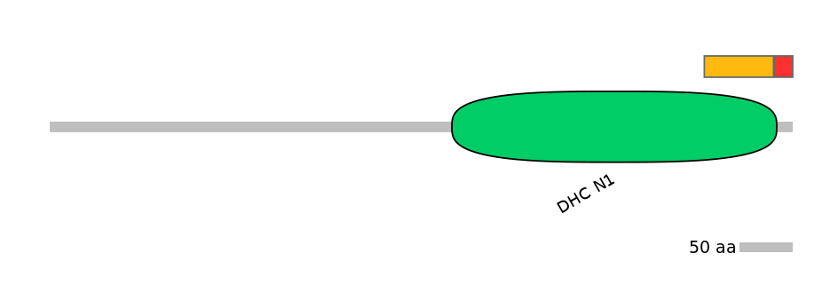 MmuEX1008713-INC