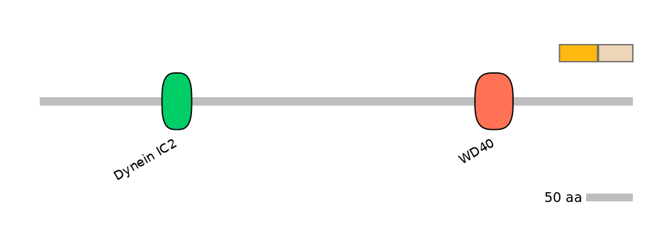 MmuEX1009054-EXC