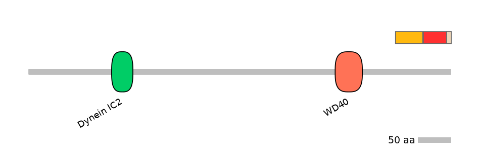 MmuEX1009054-INC