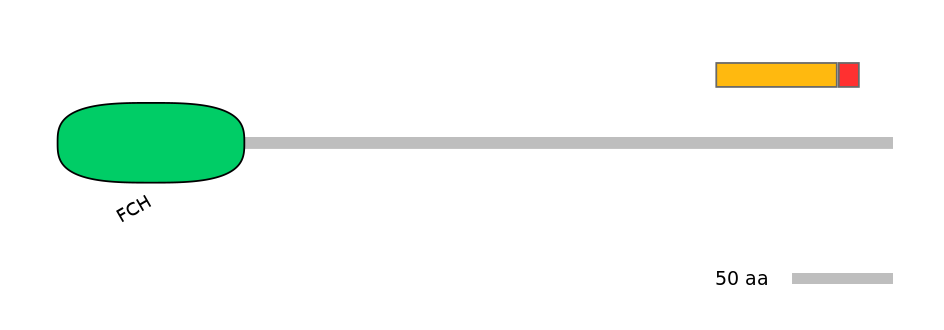 MmuEX1010551-INC