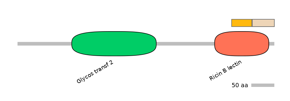 MmuEX1010850-INC