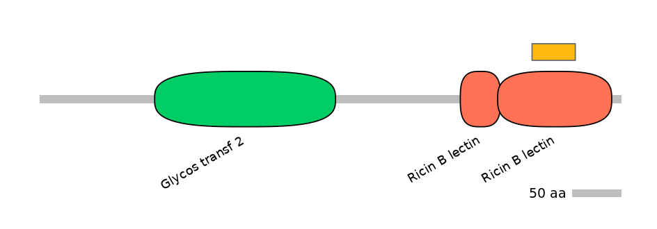 MmuEX1010853-EXC