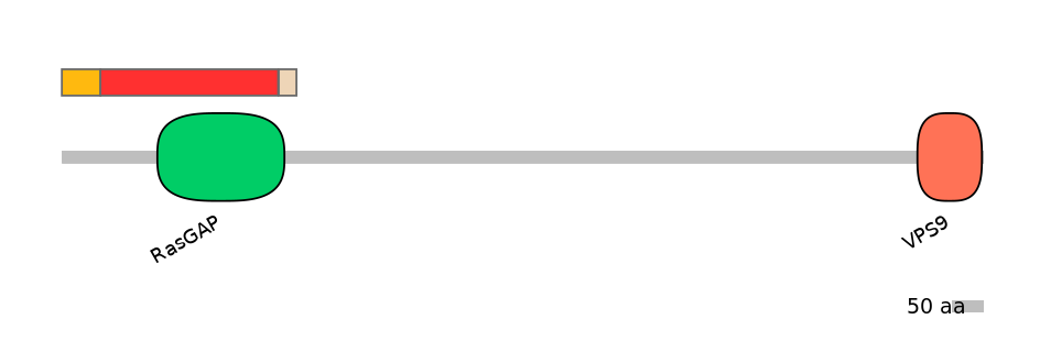 MmuEX1010889-INC