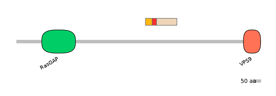 MmuEX1010893-INC