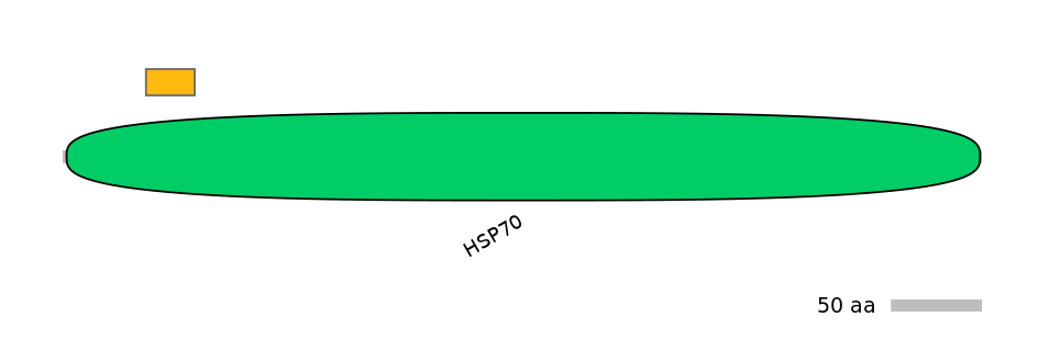 MmuEX1013629-EXC