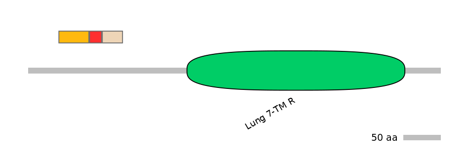 MmuEX1014082-INC