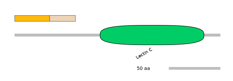 MmuEX1015935-EXC