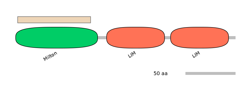 MmuEX1016307-EXC