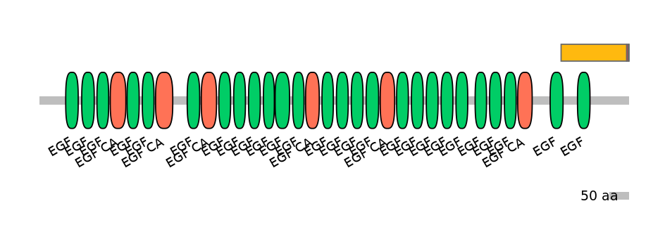 MmuEX1018708-INC