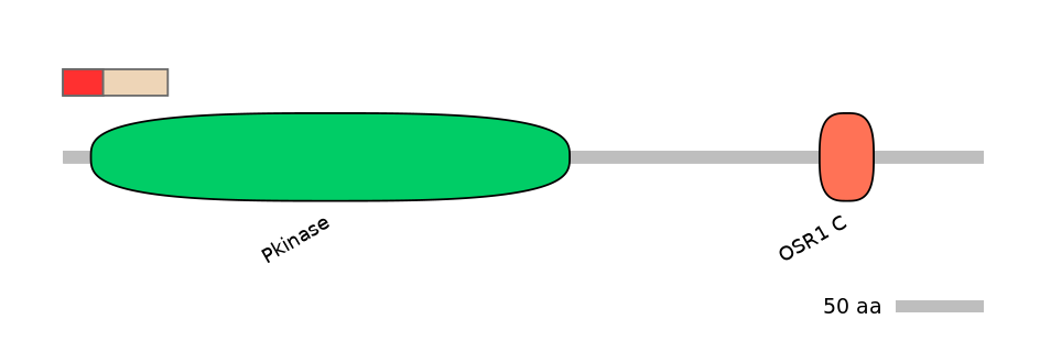 MmuEX1019319-INC